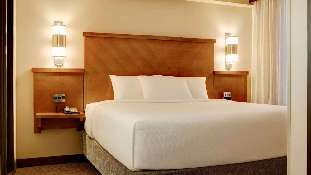 Guestroom King with Sofa Bed interior
